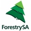 ForestrySA's logo
