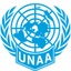 United Nations Young Professionals Queensland's logo