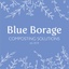 Blue Borage's logo