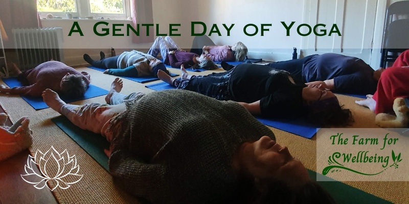 A Gentle Day of Yoga