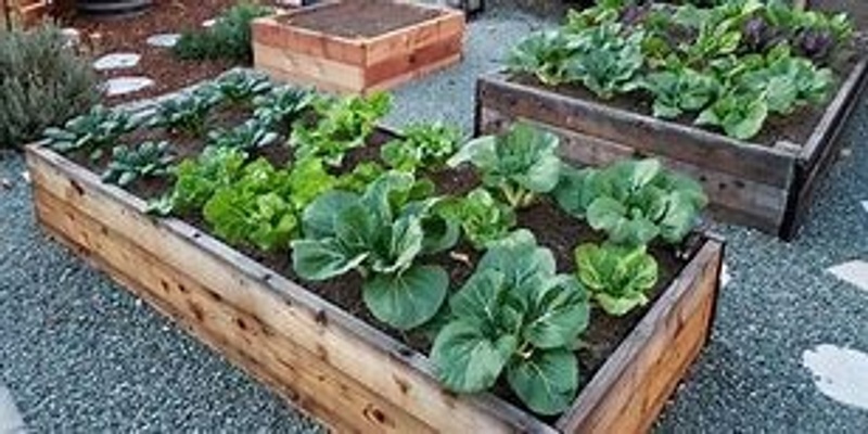 Raised Bed Vegetable Gardening Workshop & Permabee