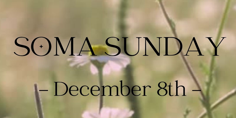 Soma Sunday :: Dec 2024