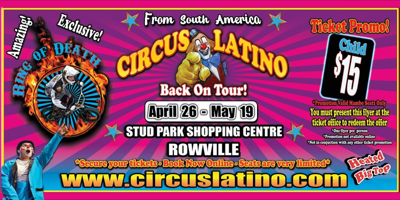 Circus Latino in Rowville!