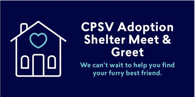 Adoption Shelter: Christmas Eve- January 2025