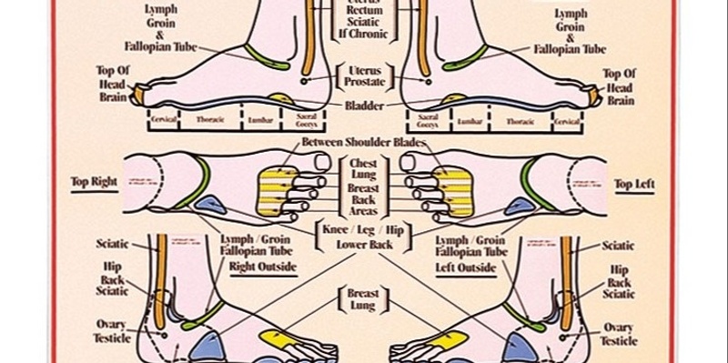 Reflexology for family and friends