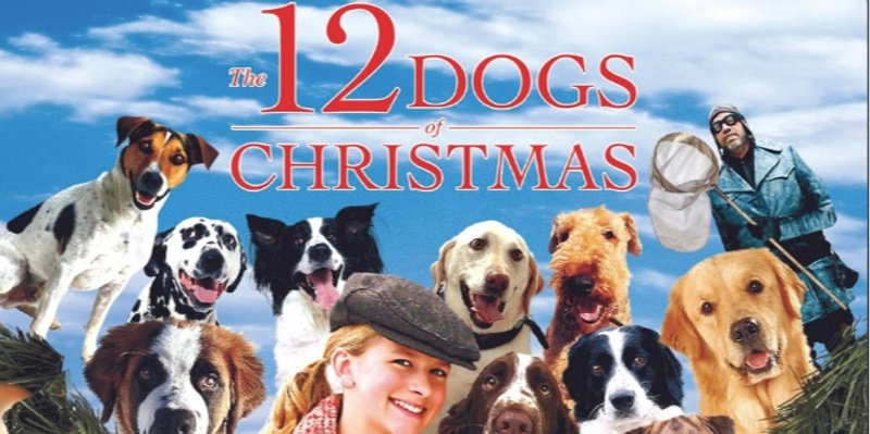 A Cheesy Little Christmas Movie Screening • 12 Dogs of Christmas • Sebastopol Library 