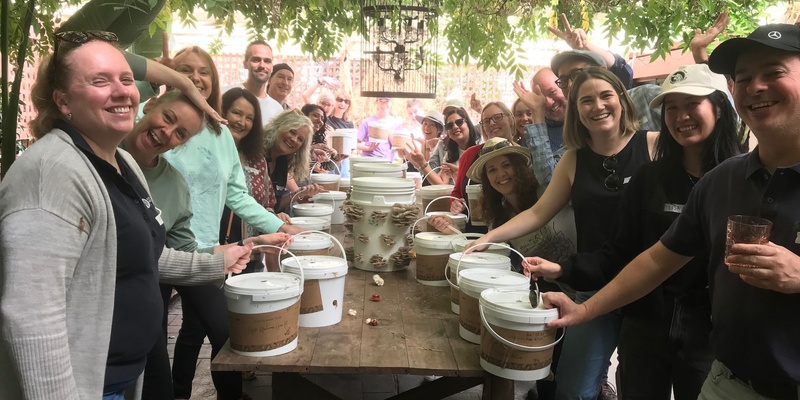 Mushroom Workshop - Add to your Kitchen Garden practice 