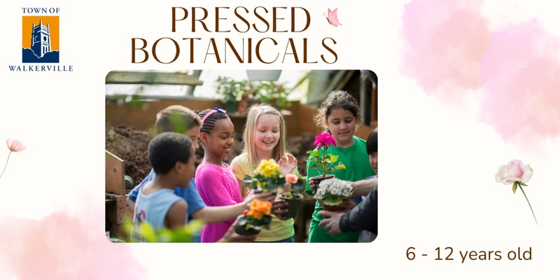 Pressed botanicals workshop