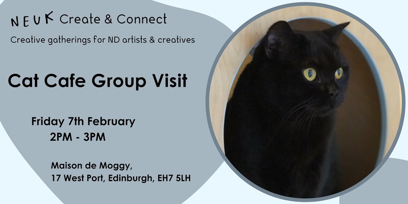 Neuk Create and Connect: Cat Cafe!