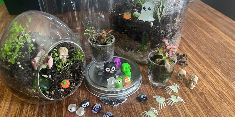 Creepy Closed Terrariums with Winter