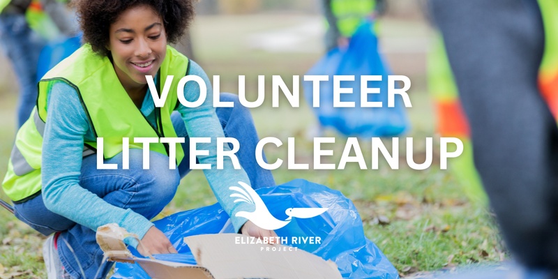 Volunteer Litter Cleanup