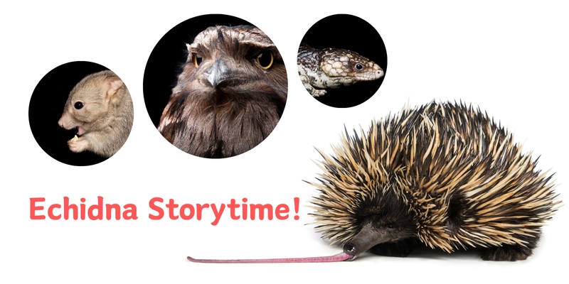 Echidna Storytime with Friends from Kanyana 
