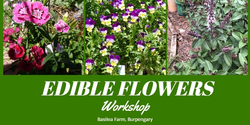 Edible Flowers Workshop at the Basilea Farm