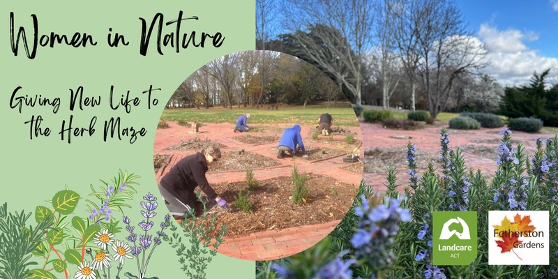 Reimagining the Herb Maze at Fetherston Gardens: Session Two - Planting