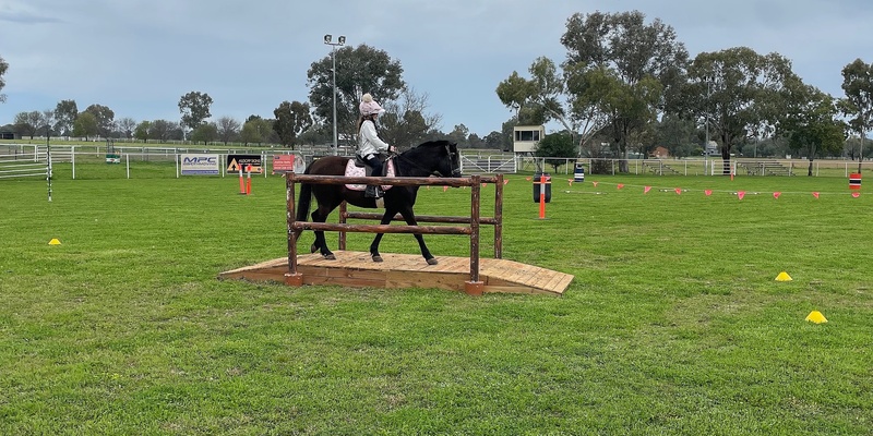  Working Equitation Clinic 