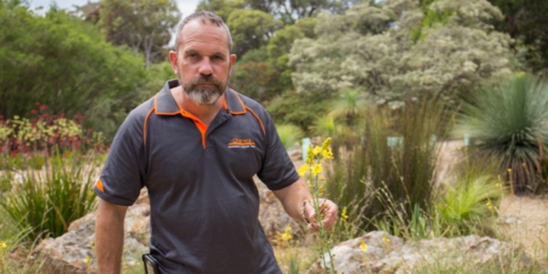 Tour| On Country Walk Black Mountain with Tyronne Bell (Ngunawal)