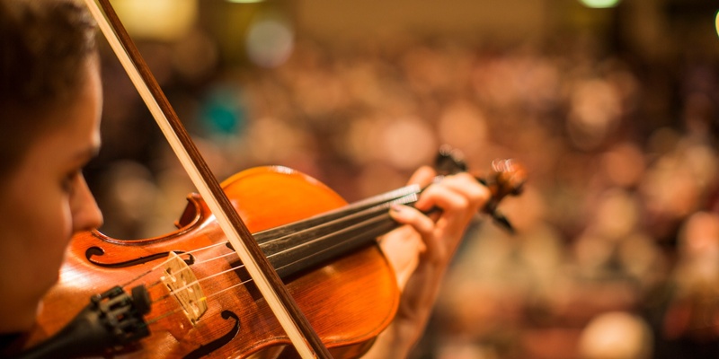 String Quartet Concert: Elder Conservatorium of Music String Quartet Course 2024