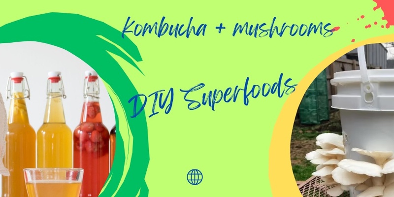 DIY Superfoods Workshop: Kombucha and Mushrooms