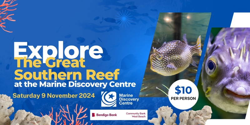 Community Open Day at the Marine Discovery Centre