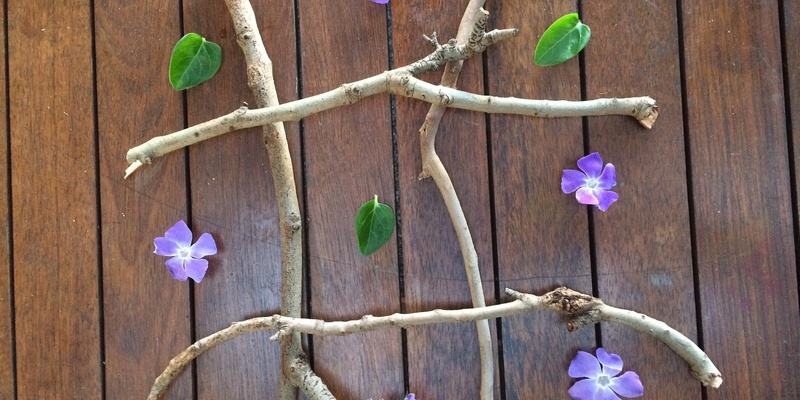 Nature Exploration at Yankalilla Library