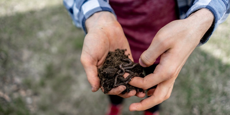 Thinking Green: Worm farming in Caversham