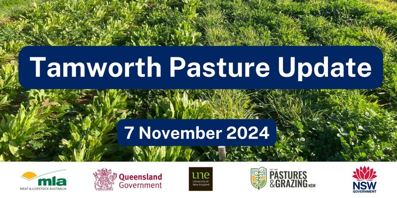 Tamworth Pasture Update