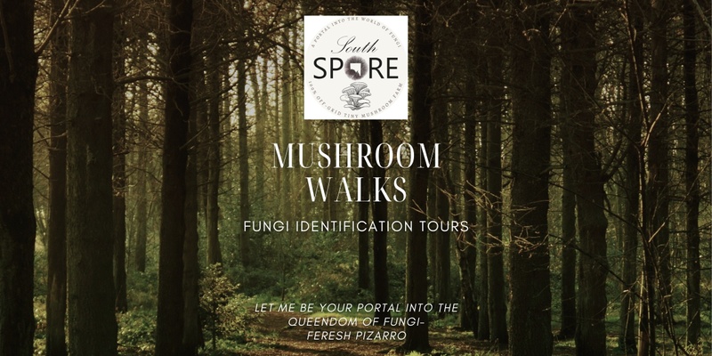Mushroom Walks- Fungi Identification Tours