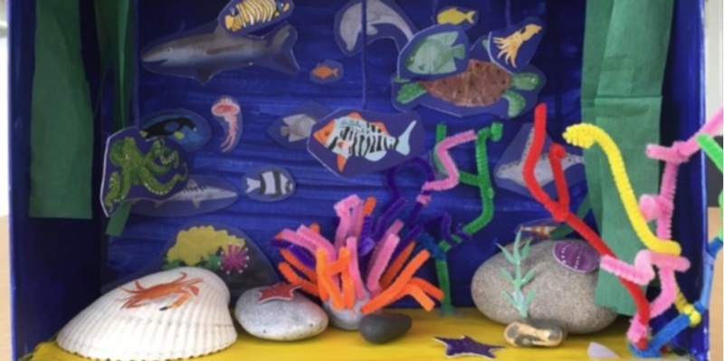 Under the Sea Diorama