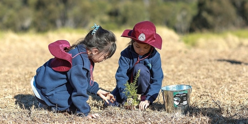 Bringing Back the Bush - Homeschool & Distance Education Groups 2025