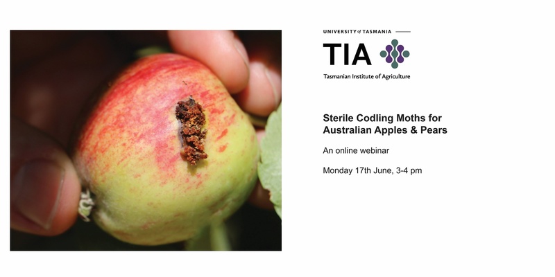 Sterile Codling Moths for Australian Apple & Pears (online and face-to-face)