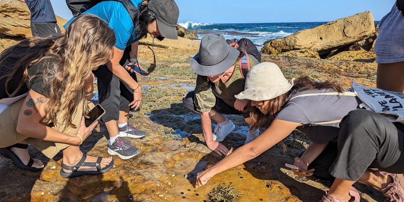 Eastern Suburbs Sustainable Schools Network