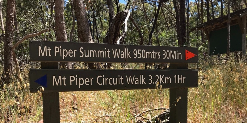 Mount Piper Volcano Circuit and Summit - Grade 4 (medium)