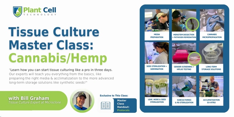 Tissue Culture Master Class: Cannabis/Hemp