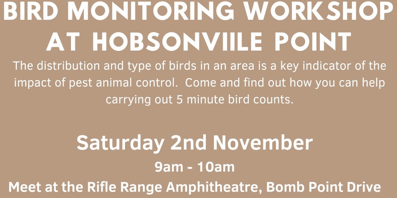 Bird Monitoring 