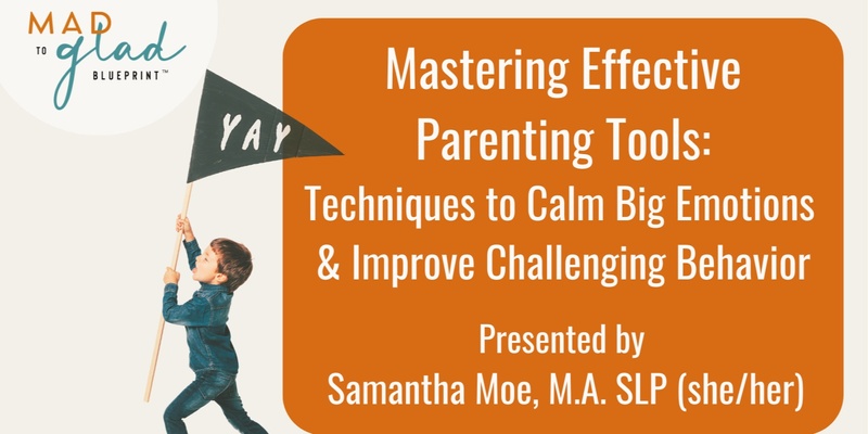 Mastering Effective Parenting Tools:  Techniques to Calm Big Emotions & Improve Challenging Behavior