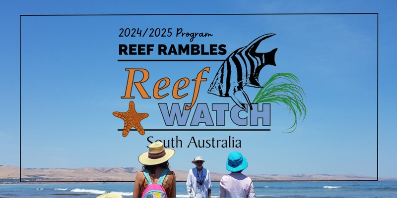 Reef Rambles at Hallett Cove - Dec 14