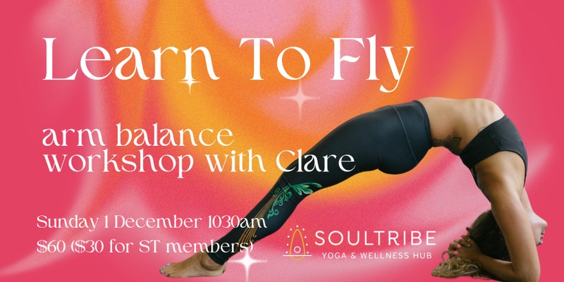 Learn to Fly - Arm Balance workshop