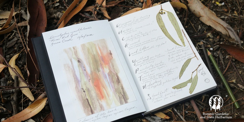 Nature Based Wellbeing: Nature Journaling and Meditative Walk
