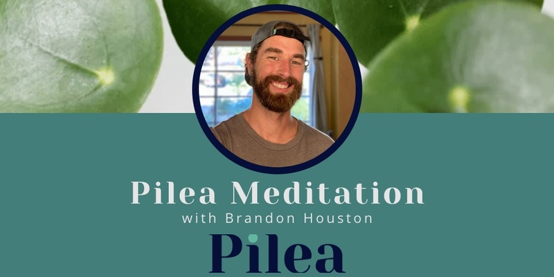 Pilea Meditation