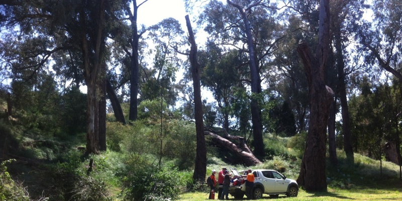 Heathwood Park Community Stewardship Morning