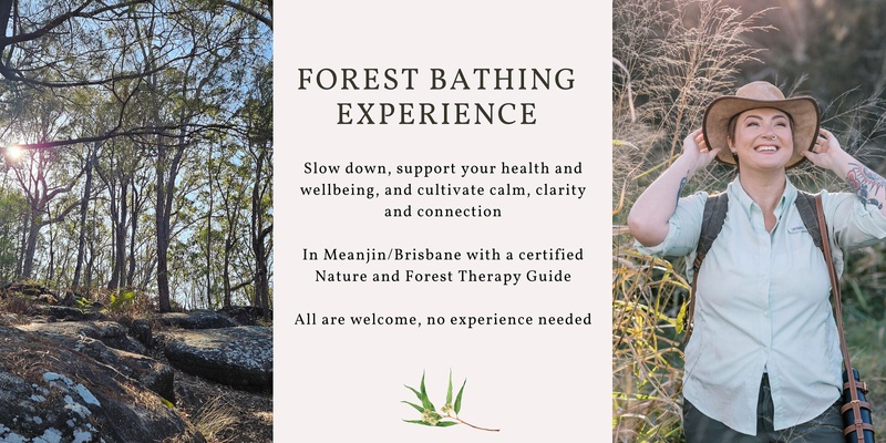 Forest Bathing Experience - A Mindful Wander in Toohey Forest