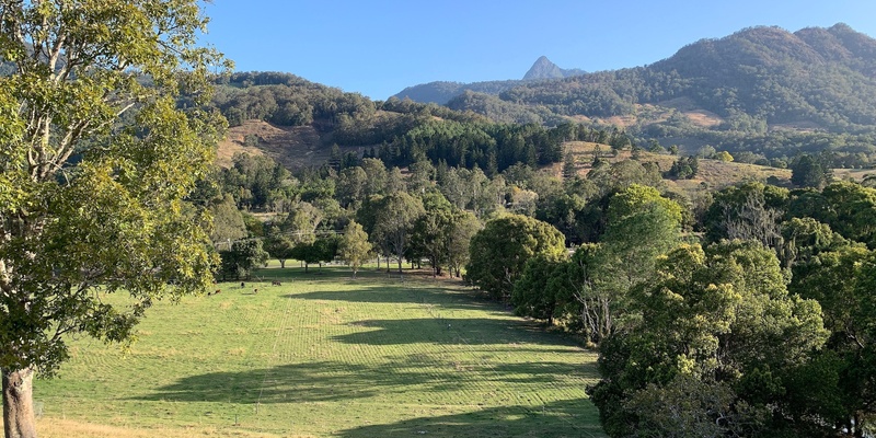 Farm Walk & Talk: Combining cattle and natural area regeneration on small holdings - Nangana Farm with Kim Stephan