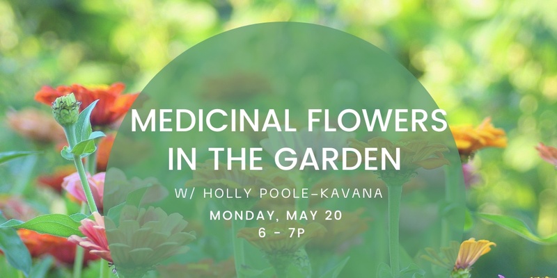 Herbalism Workshop: Medicinal Flowers in the Garden w/ Holly Poole-Kavana