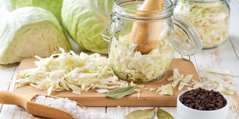 Homeschool Science of Sauerkraut