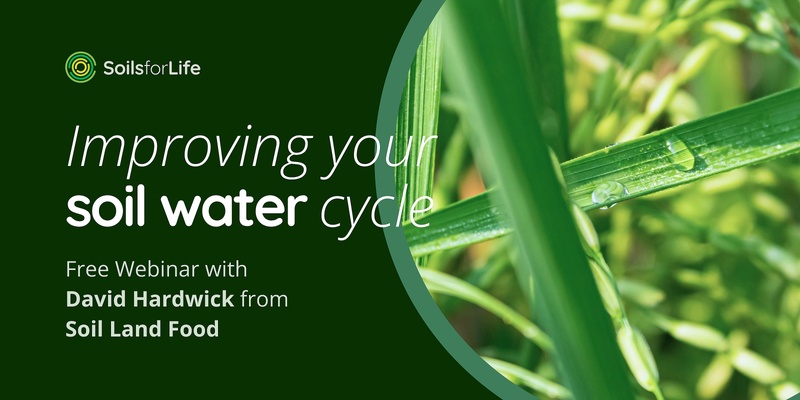 Improving Your Soil Water Cycle