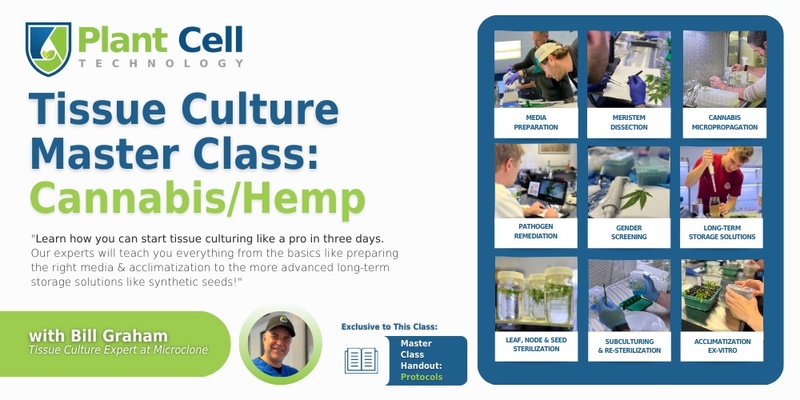 Tissue Culture Master Class: Cannabis/Hemp