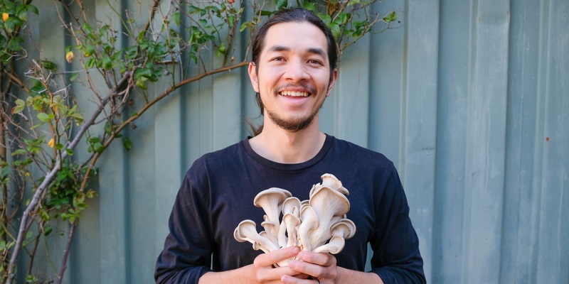 Growing mushrooms in upcycled buckets