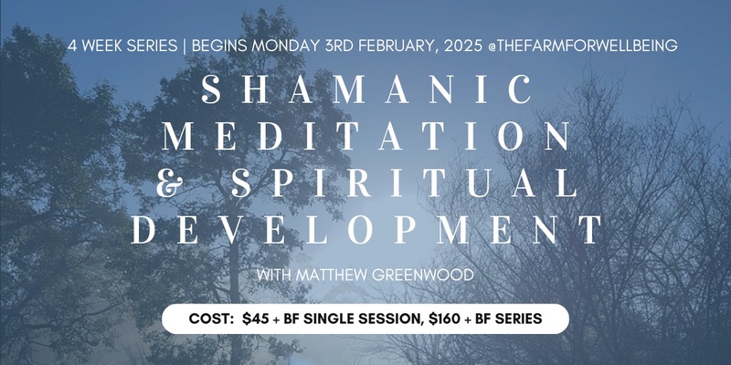 Shamanic Meditation & Spiritual Development (4 week series)