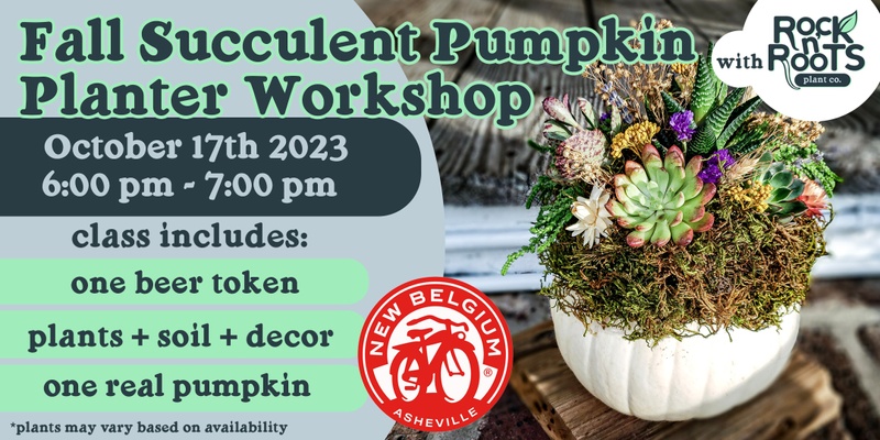 Fall Succulent Pumpkin Planter Workshop at New Belgium Brewing (Asheville, NC)