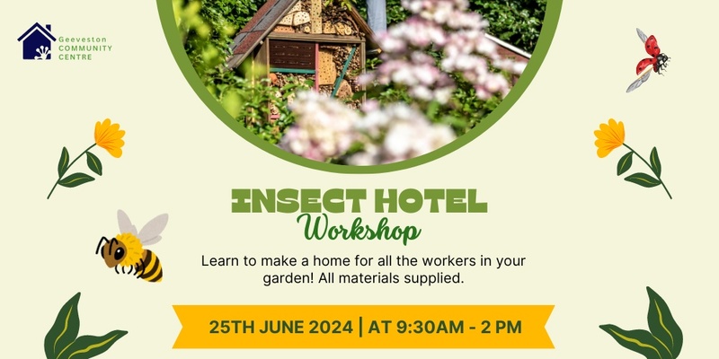 Build an Insect Hotel!